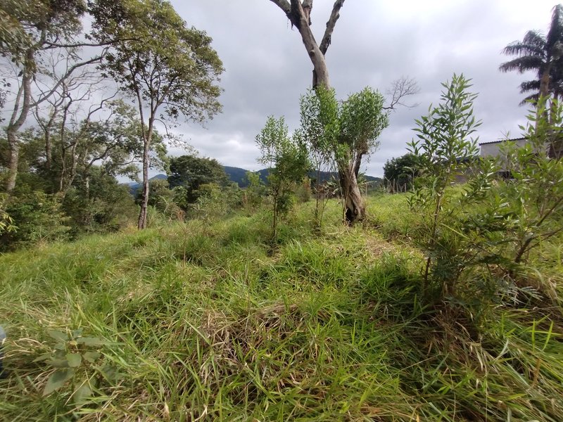 Terreno à venda com vista para a serra - Nazaré Paulista - 
