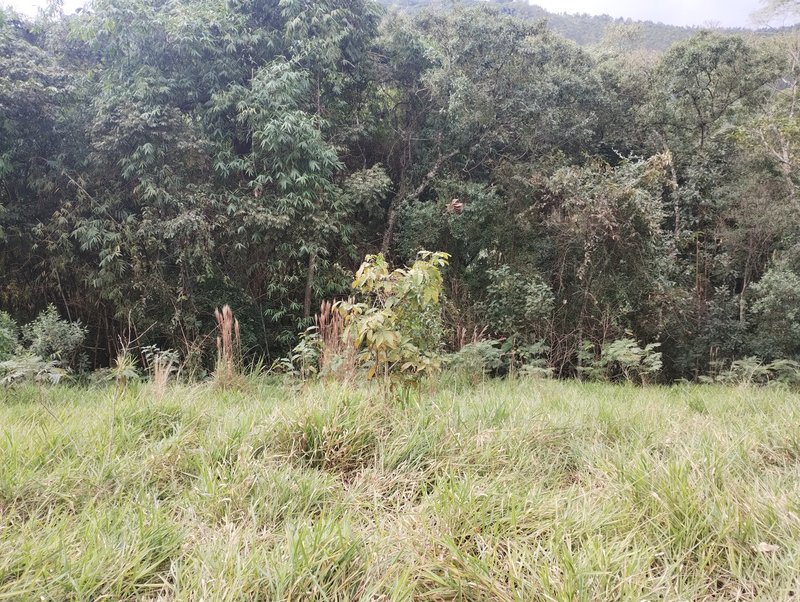 Terreno à venda com vista para a serra - Nazaré Paulista - 