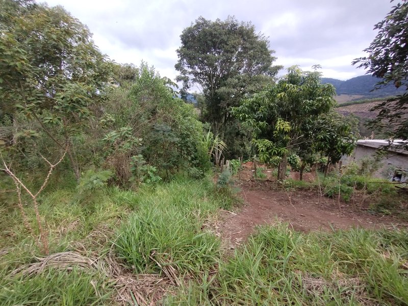Terreno à venda com vista para a serra - Nazaré Paulista - 