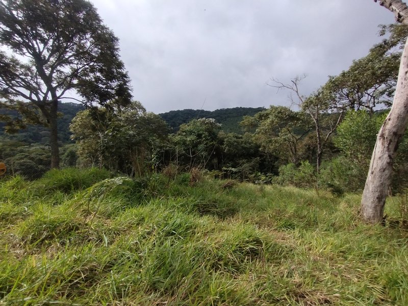 Terreno à venda com vista para a serra - Nazaré Paulista - 