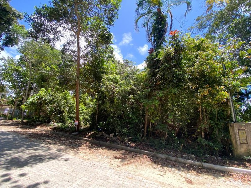 Terreno Coqueiral Avenida Principal Porto Seguro - 