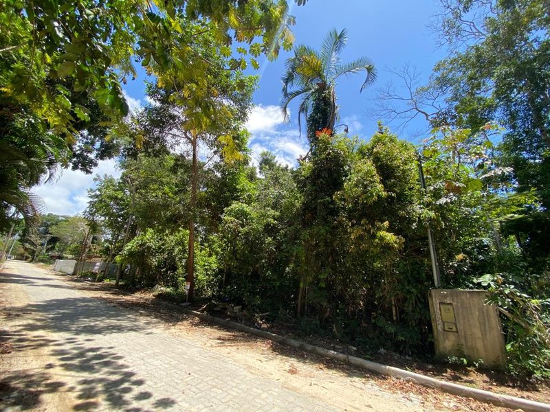 Terreno Coqueiral Avenida Principal Porto Seguro - 