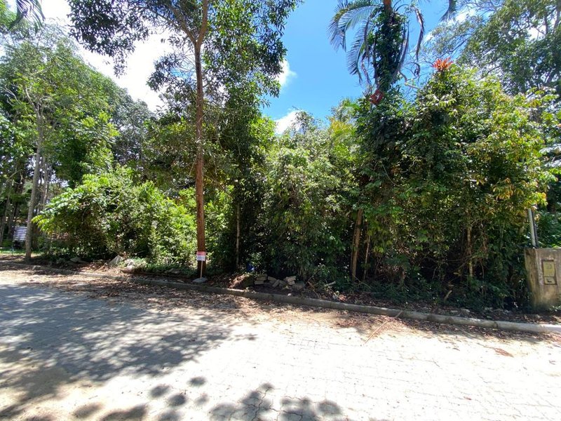 Terreno Coqueiral Avenida Principal Porto Seguro - 