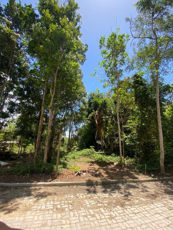 Terreno Coqueiral Avenida Principal Porto Seguro - 