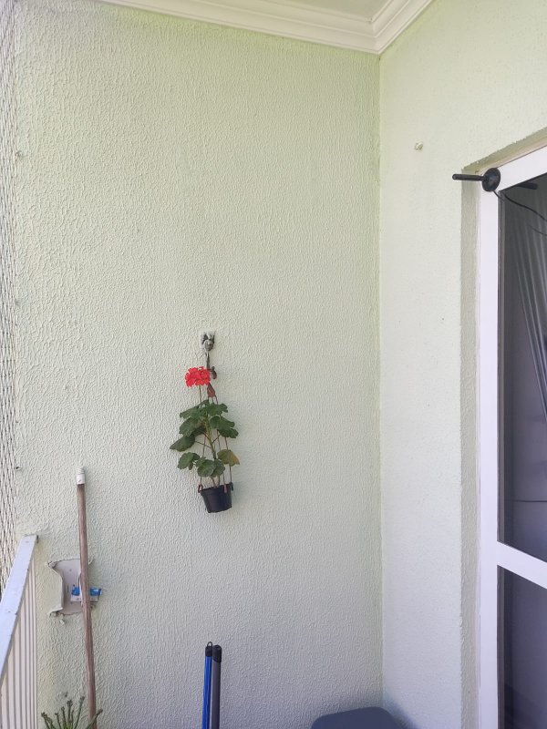 Apartamento de 2 Dormitórios no Parque das Árvores, Valor de Oportunidade! - Mogi das Cruzes - 