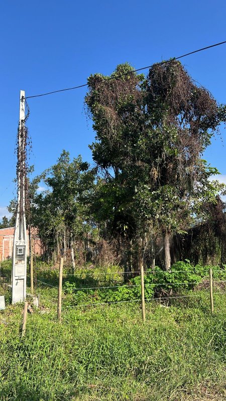 TERRENO À VENDA – GOLFINHO - Caraguatatuba - 