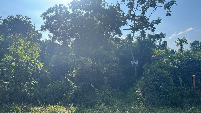🏡 Terreno à Venda – Bairro Golfinho - Caraguatatuba - 