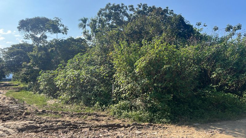 🏡 Terreno à Venda – Bairro Golfinho - Caraguatatuba - 