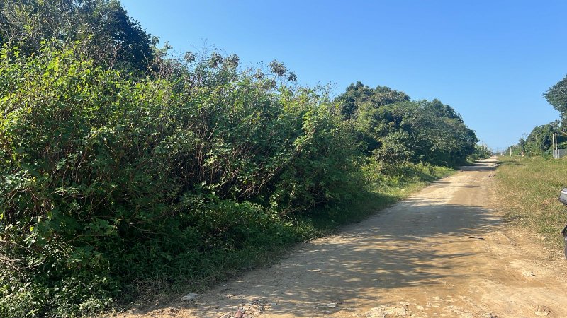 🏡 Terreno à Venda – Bairro Golfinho - Caraguatatuba - 