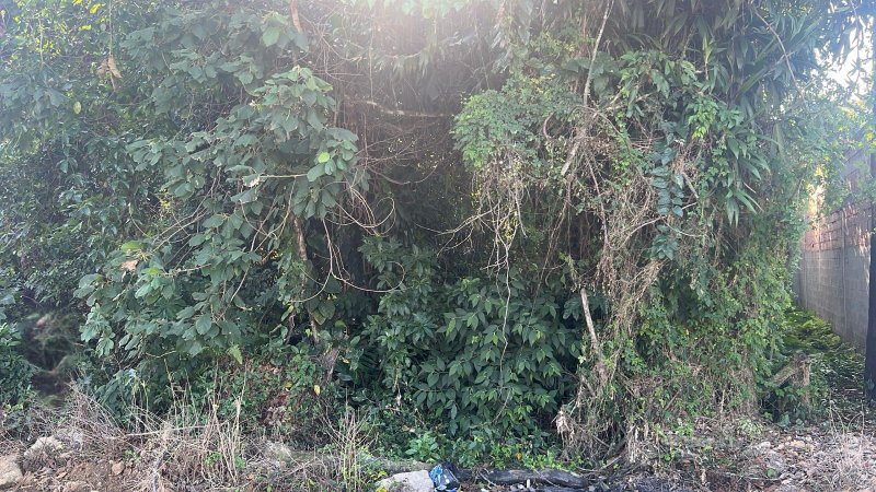 🏡 Terreno à Venda – Golfinho  - Caraguatatuba - 