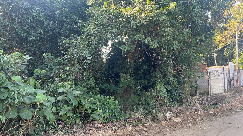🏡 Terreno à Venda – Golfinho  - Caraguatatuba - 