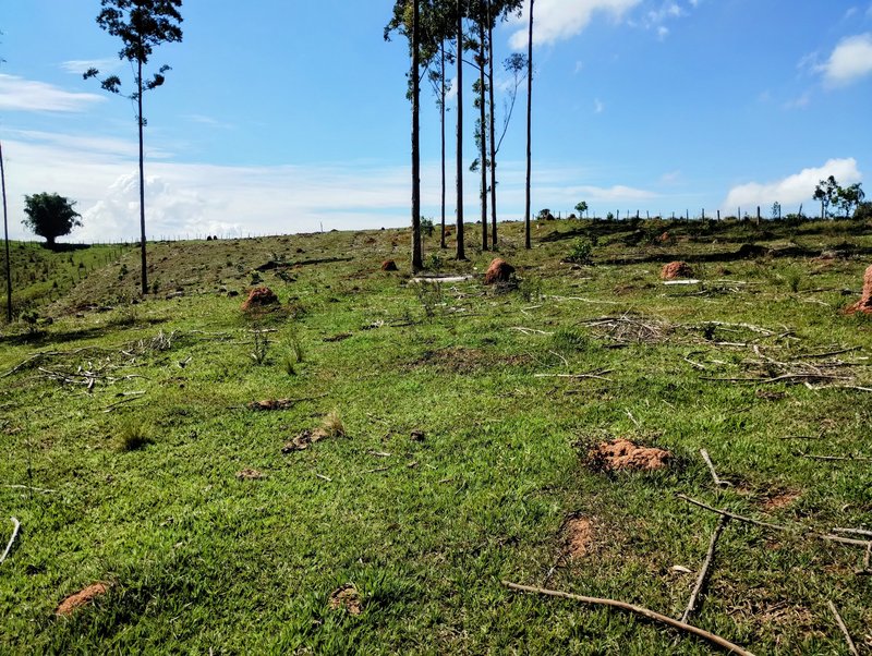 Ótimo sítio à venda no bairro do Pinhal - Jacareí - 