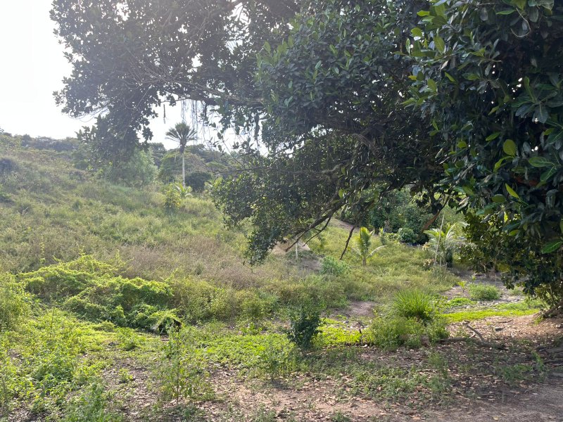 Terreno no Vale Verde Engenho velho Porto Seguro - 