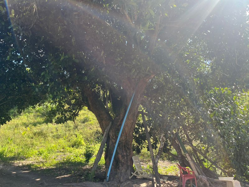 Terreno no Vale Verde Engenho velho Porto Seguro - 