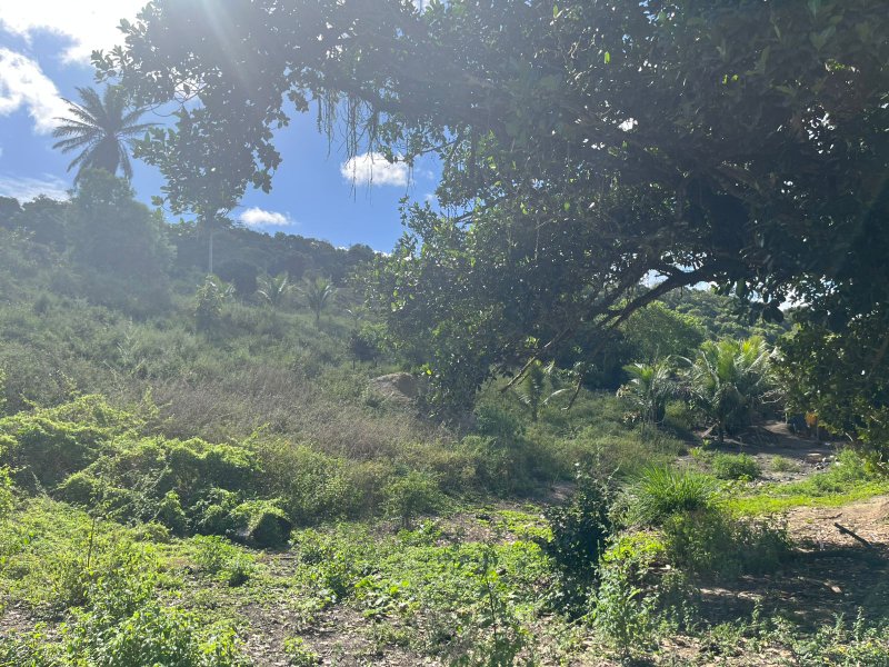 Terreno no Vale Verde Engenho velho Porto Seguro - 
