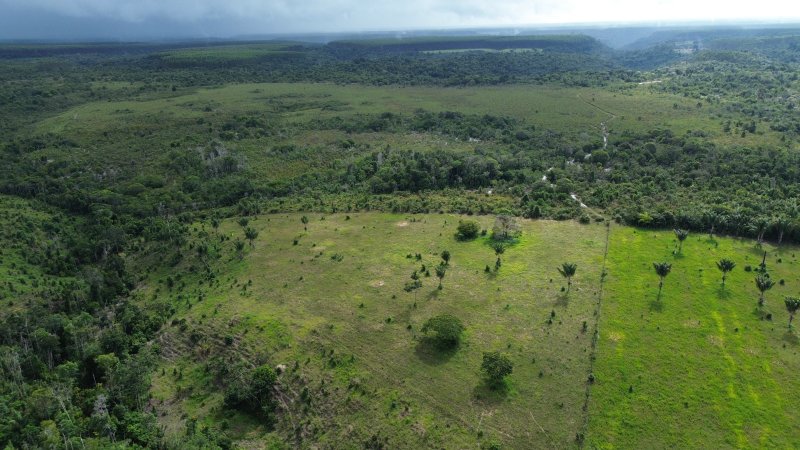 Fazenda em Santa Cruz Cabrália 40 hectares Cabrália Santa Cruz Cabrália - 