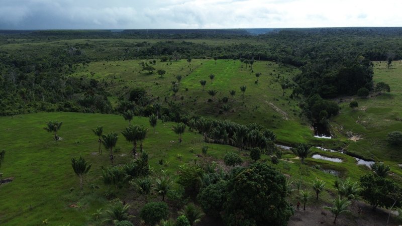 Fazenda em Santa Cruz Cabrália 40 hectares Cabrália Santa Cruz Cabrália - 