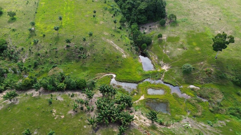 Fazenda em Santa Cruz Cabrália 40 hectares Cabrália Santa Cruz Cabrália - 