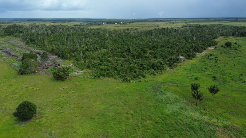 Fazenda em Santa Cruz Cabrália 40 hectares Cabrália Santa Cruz Cabrália - 