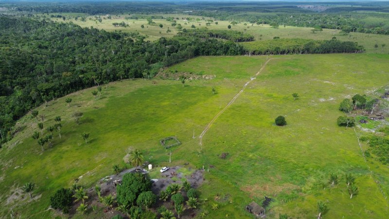 Fazenda em Santa Cruz Cabrália 40 hectares Cabrália Santa Cruz Cabrália - 