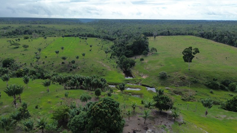 Fazenda em Santa Cruz Cabrália 40 hectares Cabrália Santa Cruz Cabrália - 