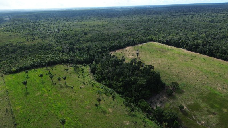 Fazenda em Santa Cruz Cabrália 40 hectares Cabrália Santa Cruz Cabrália - 