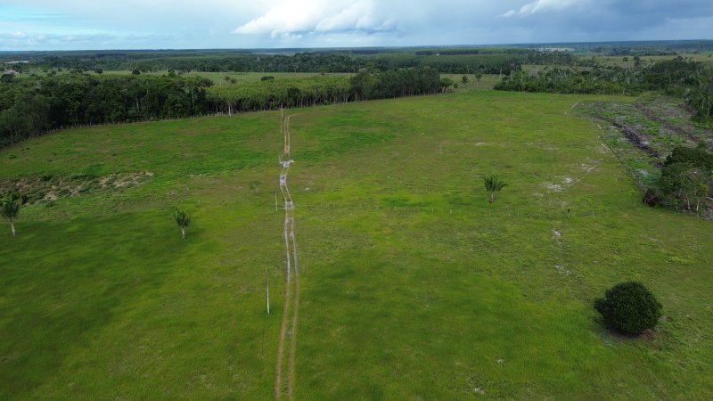 Fazenda em Santa Cruz Cabrália 40 hectares Cabrália Santa Cruz Cabrália - 