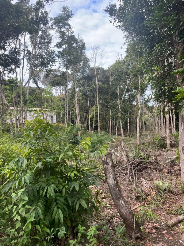 Terreno no Trac Trac Trac Trac Porto Seguro - 