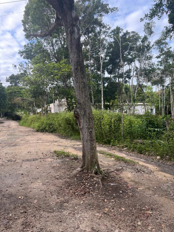 Terreno no Trac Trac Trac Trac Porto Seguro - 