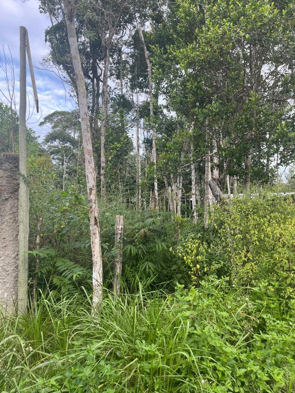Terreno no Trac Trac Trac Trac Porto Seguro - 