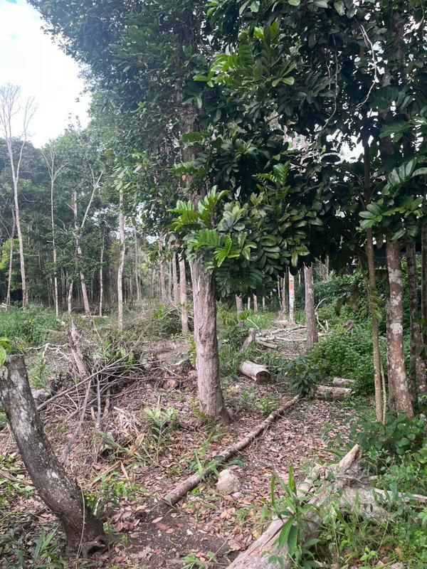 Terreno no Trac Trac Trac Trac Porto Seguro - 