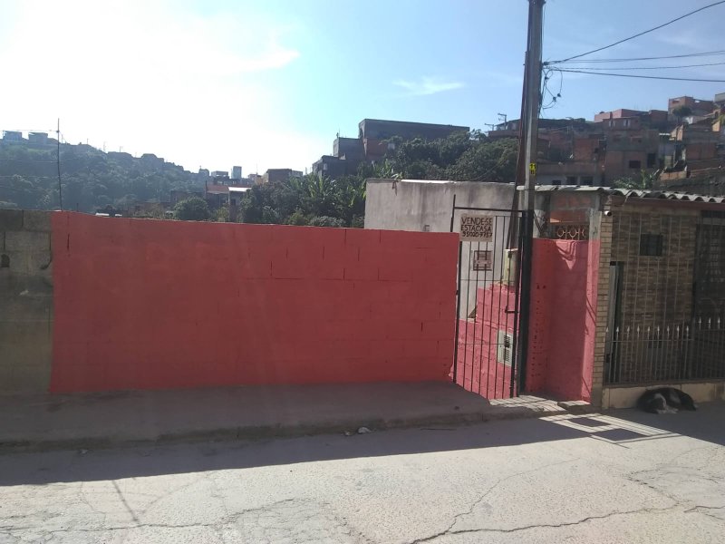 casa terrea Rua Beija-Flor São Paulo - 