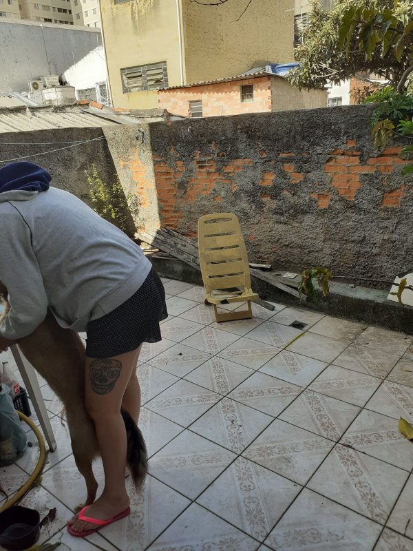 predio comercial Rua Coronel Bento Pires São Paulo - 