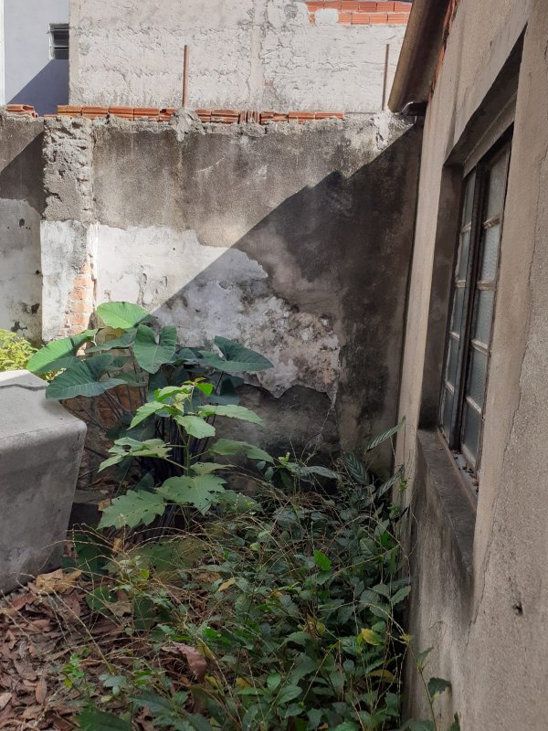 predio comercial Rua Coronel Bento Pires São Paulo - 