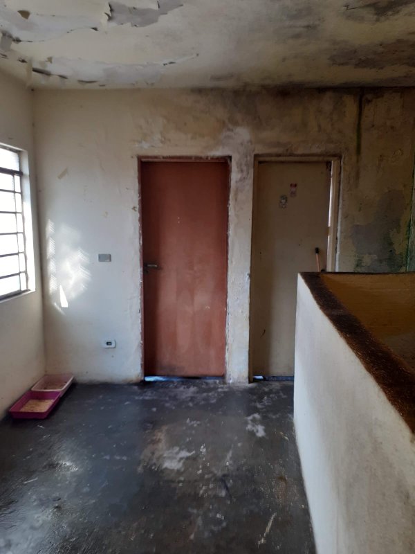 predio comercial Rua Coronel Bento Pires São Paulo - 