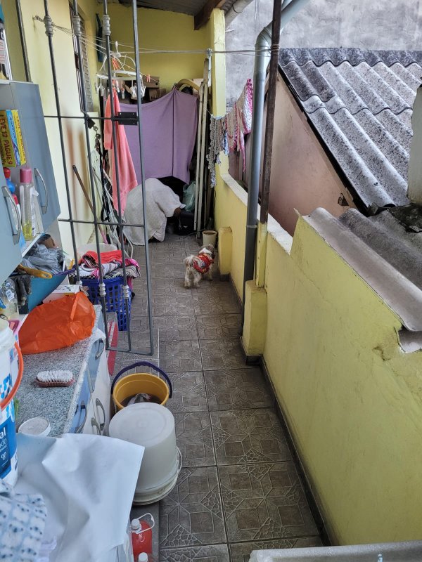 casa Rua Malie Brenner São Paulo - 