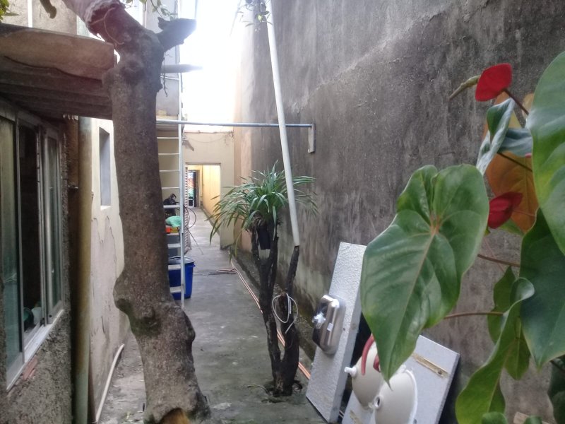 sobrado Rua Frei Bernardino Coste São Paulo - 