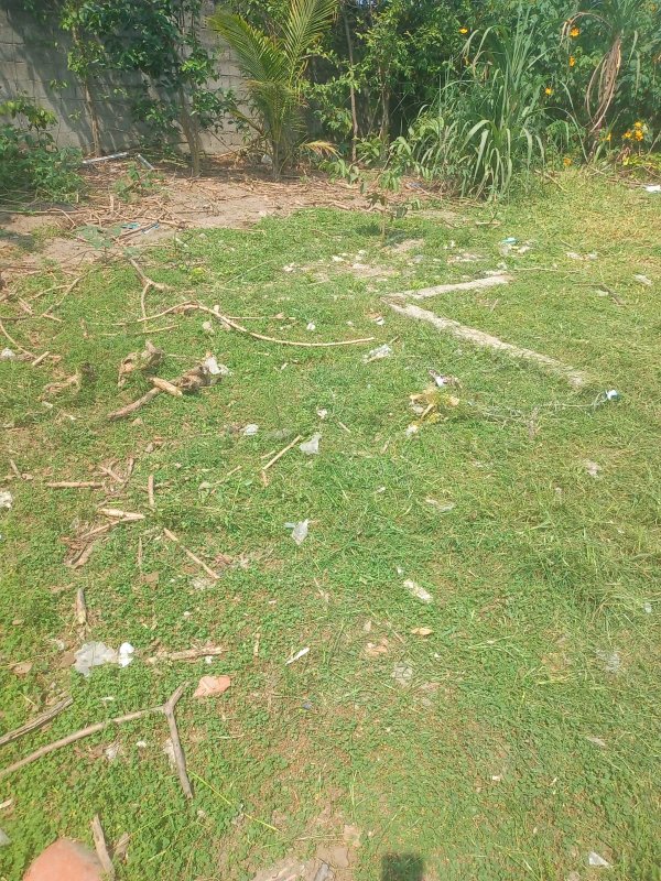 🏡 Terreno à Venda – Golfinho - Caraguatatuba - 