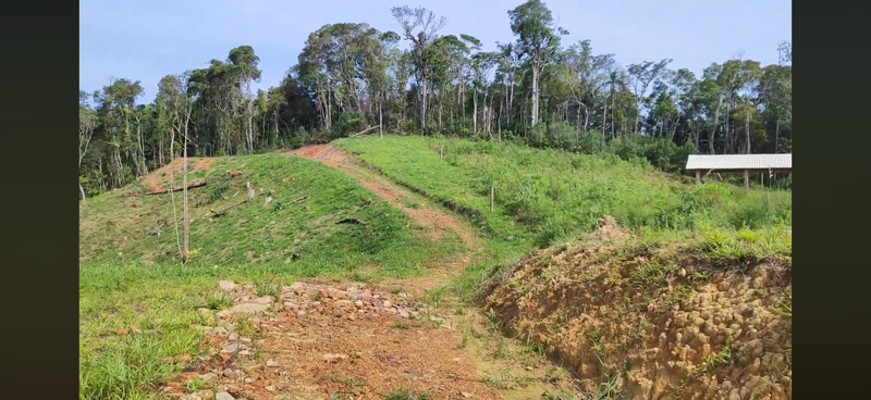Sítio - Com bela vista - São Pedro de Alcantara 2,5 km da SC-281 SAO PEDRO DE ALCANTARA - 