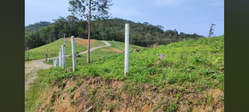 Sítio - Com bela vista - São Pedro de Alcantara 2,5 km da SC-281 SAO PEDRO DE ALCANTARA - 