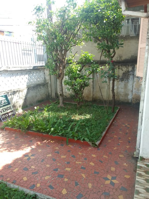 casa  terrea Avenida Gustavo Adolfo São Paulo - 