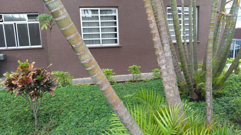 apartamento Rua Doutor Fomm São Paulo - 