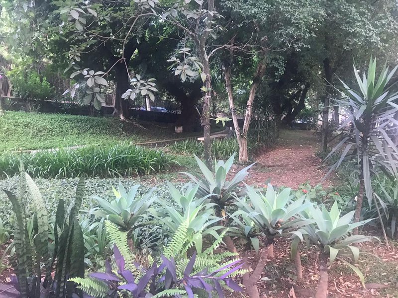 apartamento Rua Amadeu Narciso Pieroni São Paulo - 