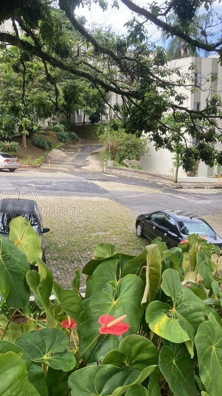 apartamento Rua Amadeu Narciso Pieroni São Paulo - 