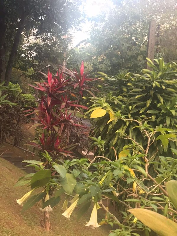 apartamento Rua Amadeu Narciso Pieroni São Paulo - 