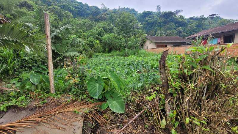 Terreno 450,00 m² - BENEDITO NOVO - 