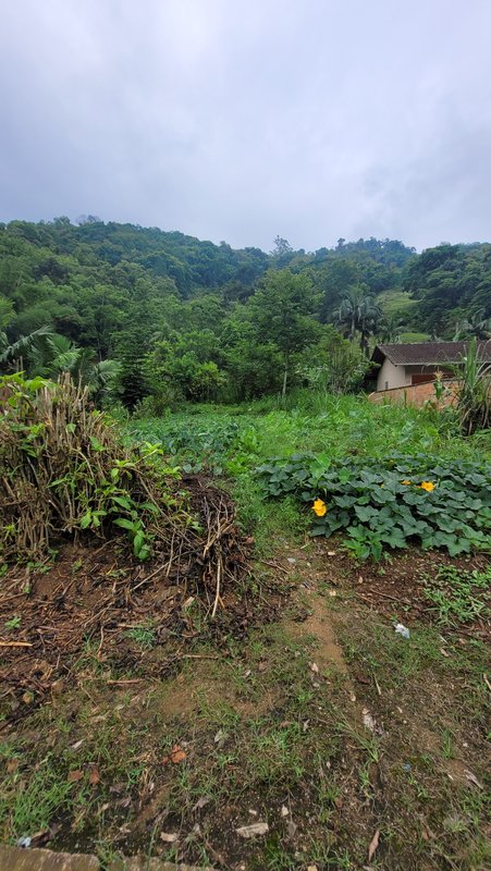 Terreno 450,00 m² - BENEDITO NOVO - 