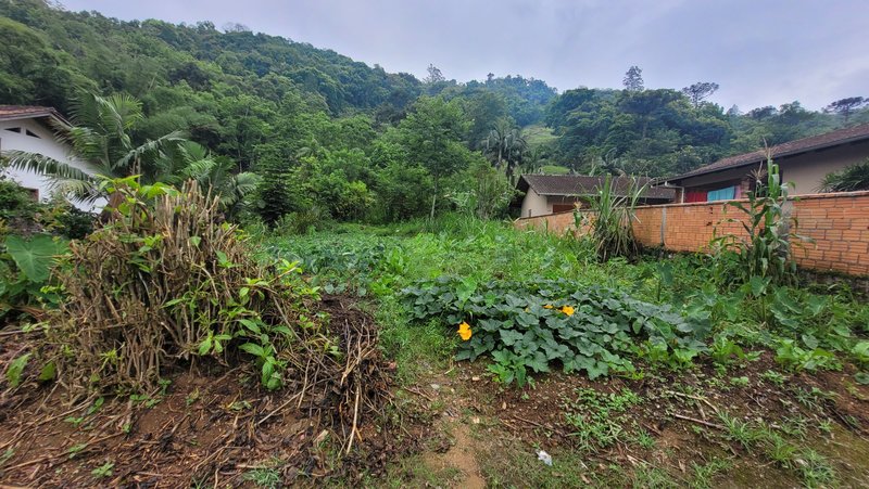 Terreno 450,00 m² - BENEDITO NOVO - 