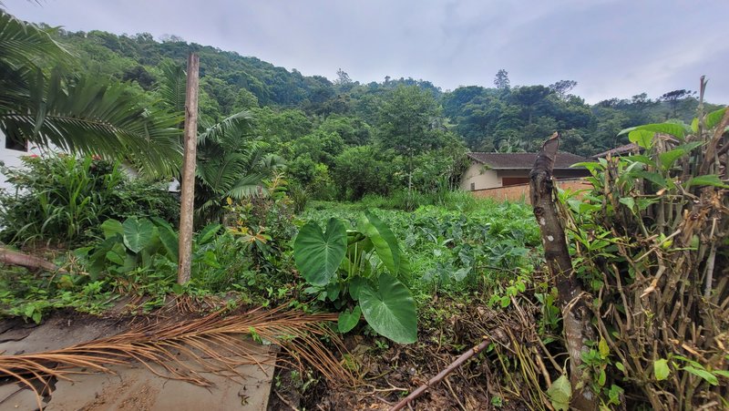 Terreno 450,00 m² - BENEDITO NOVO - 