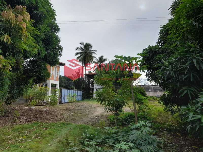Grande Terreno à Venda em Abrantes – 8.400 m² - Excelente Oportunidade de Investimento Rua do Pantanal Camaçari - 